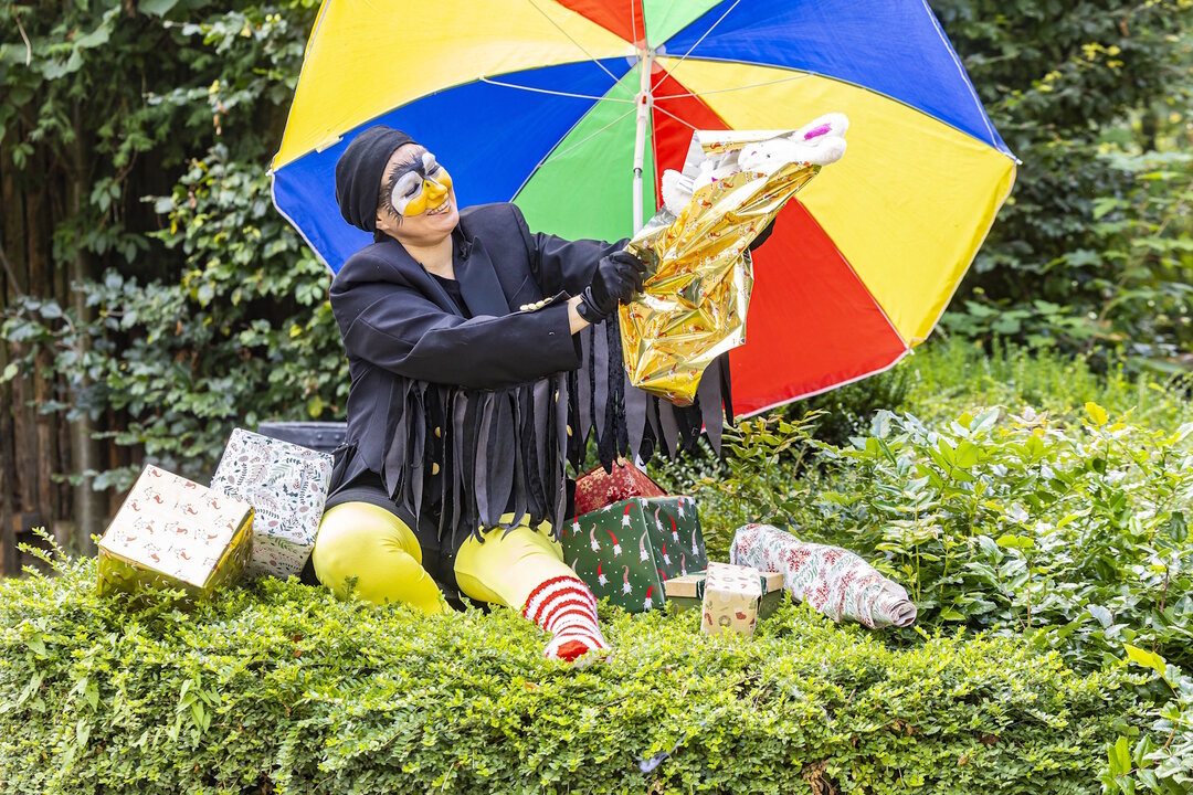 Alles Weihnachten mit dem kleinen Raben Socke